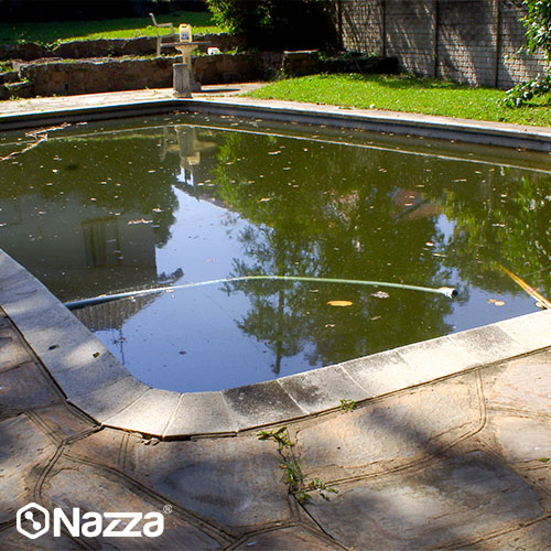 Agua de piscina con suciedad visible y hojas acumuladas en la zona de la escalera, señal de falta de limpieza y filtración